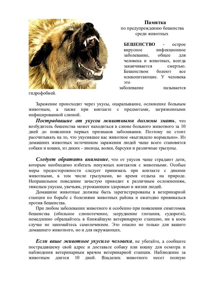 pam covid 2303 2022 5