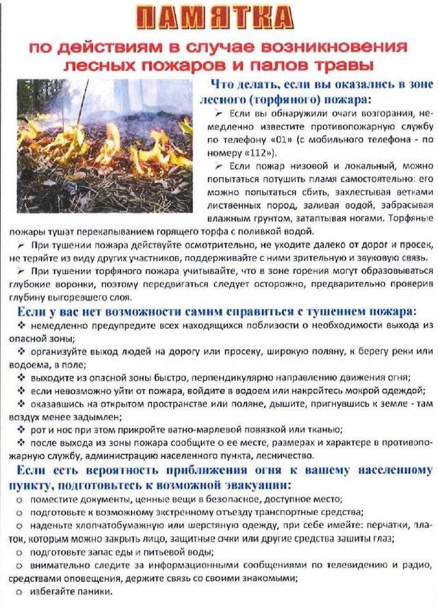 pam covid 2303 2022 8