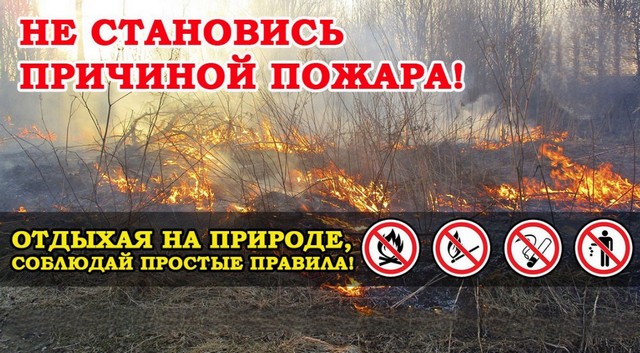 foto 2023 05 17 14 16 005