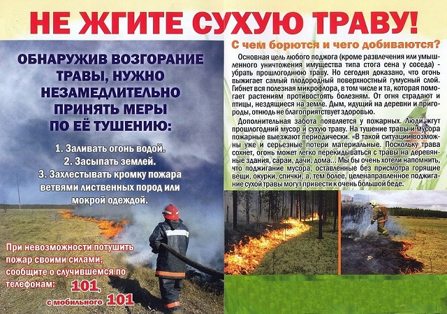 Ne zhgi travu