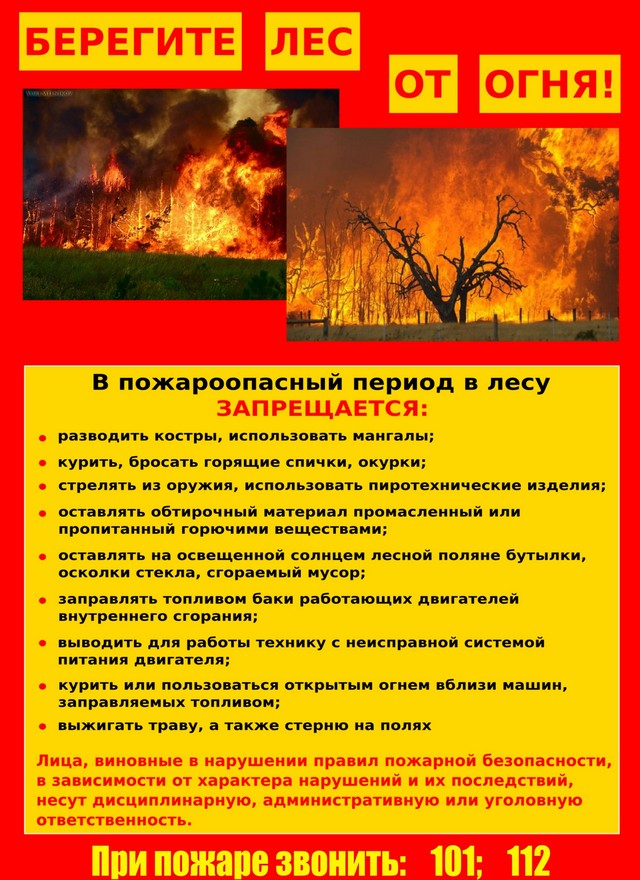 foto 2023 08 10 16 36 001
