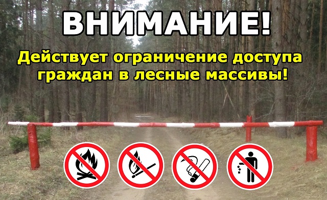 ogranichenie posescheniya lesov 2021