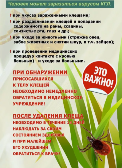 foto 2025 05 16 11 59