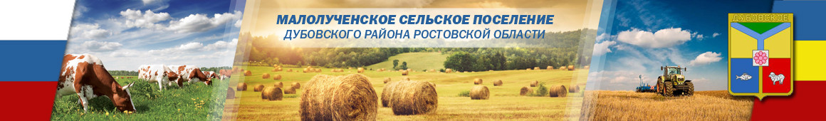 shapka